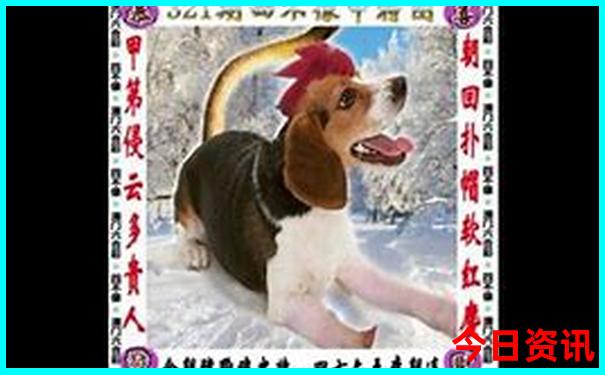 7月中旬去哪里旅游最好